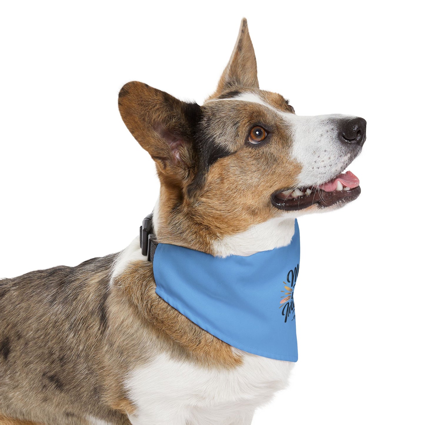 Inspirational Pet Bandana Collar - More Than You Can Imagine