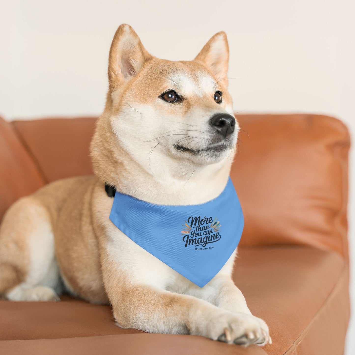 Inspirational Pet Bandana Collar - More Than You Can Imagine