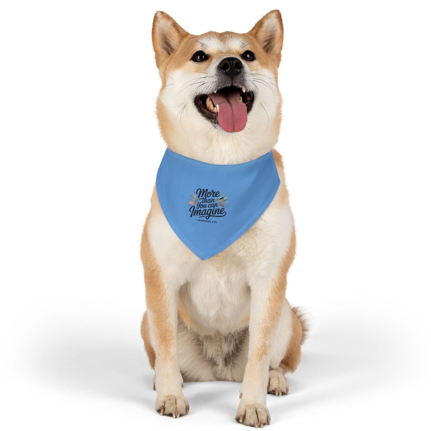 Inspirational Pet Bandana Collar - More Than You Can Imagine