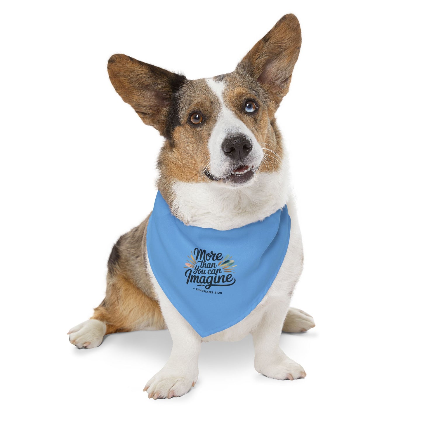 Inspirational Pet Bandana Collar - More Than You Can Imagine