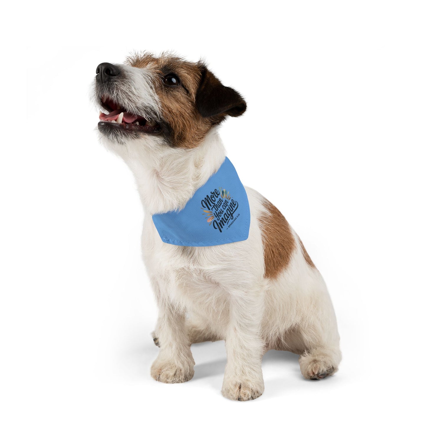 Inspirational Pet Bandana Collar - More Than You Can Imagine