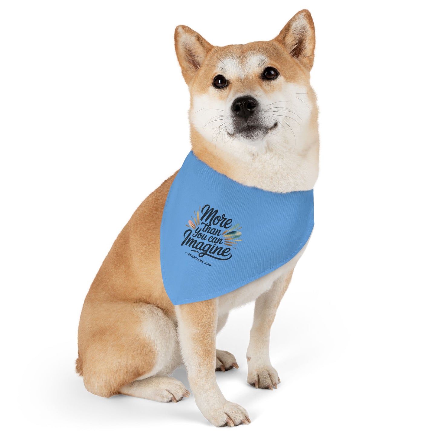 Inspirational Pet Bandana Collar - More Than You Can Imagine