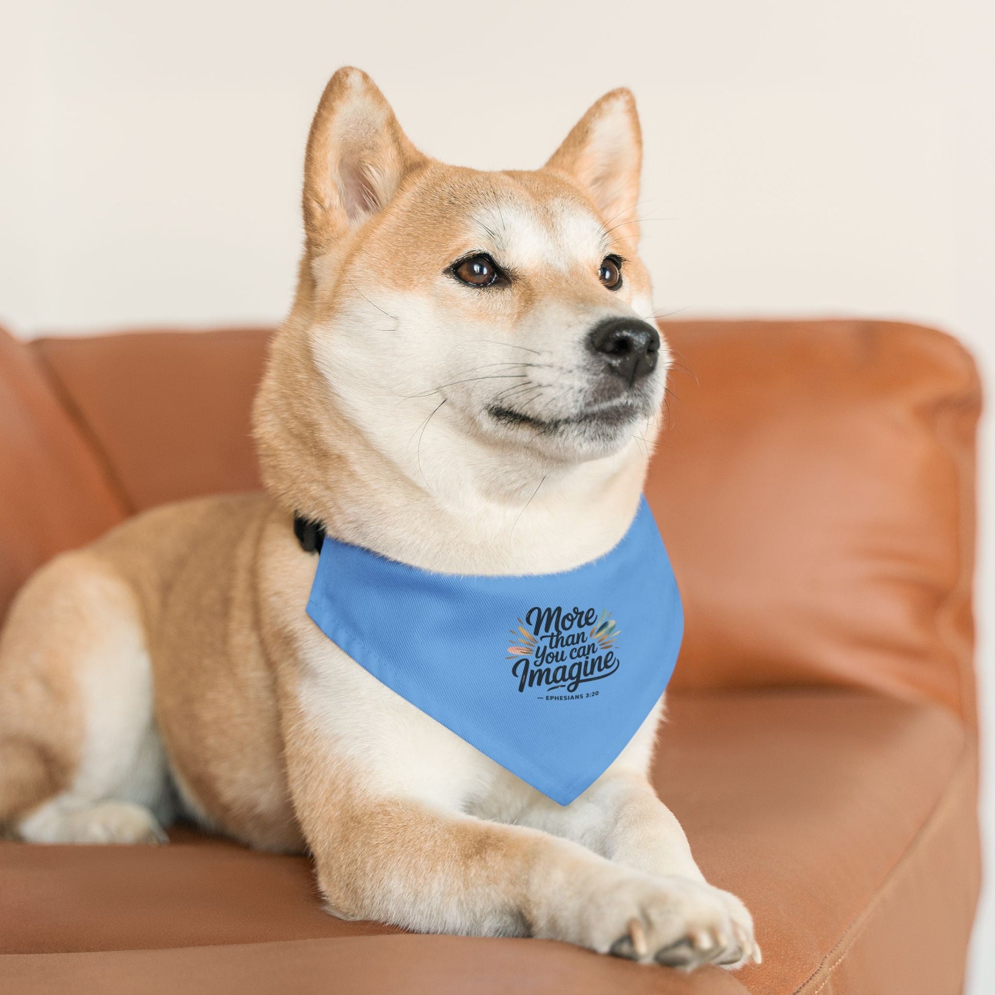 Inspirational Pet Bandana Collar - More Than You Can Imagine - Peak Inspiration