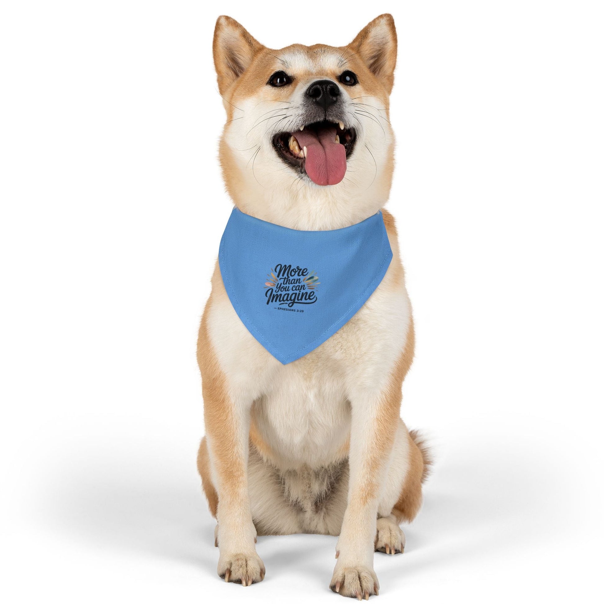 Inspirational Pet Bandana Collar - More Than You Can Imagine - Peak Inspiration