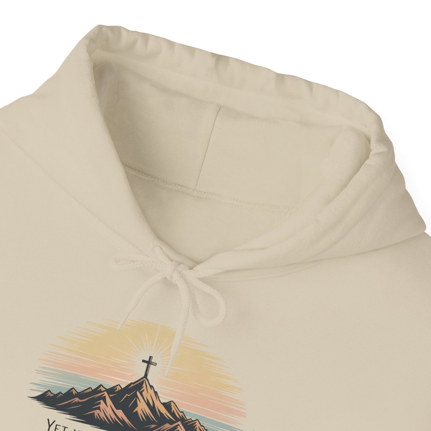 Inspirational Scripture Hoodie for Comfort and Faith - Peak Inspiration